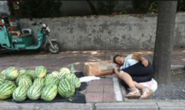 吃瓜最新事件爆料砀山,揭秘吃瓜群众最新热议事件